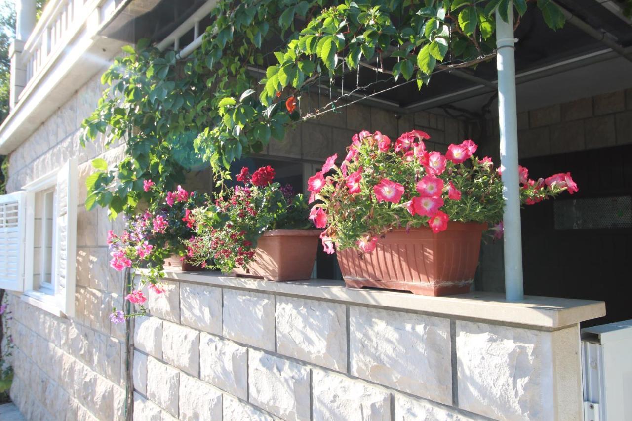 Apartment Ruzica Zrnovo Ngoại thất bức ảnh