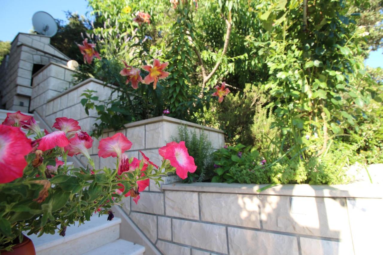 Apartment Ruzica Zrnovo Ngoại thất bức ảnh